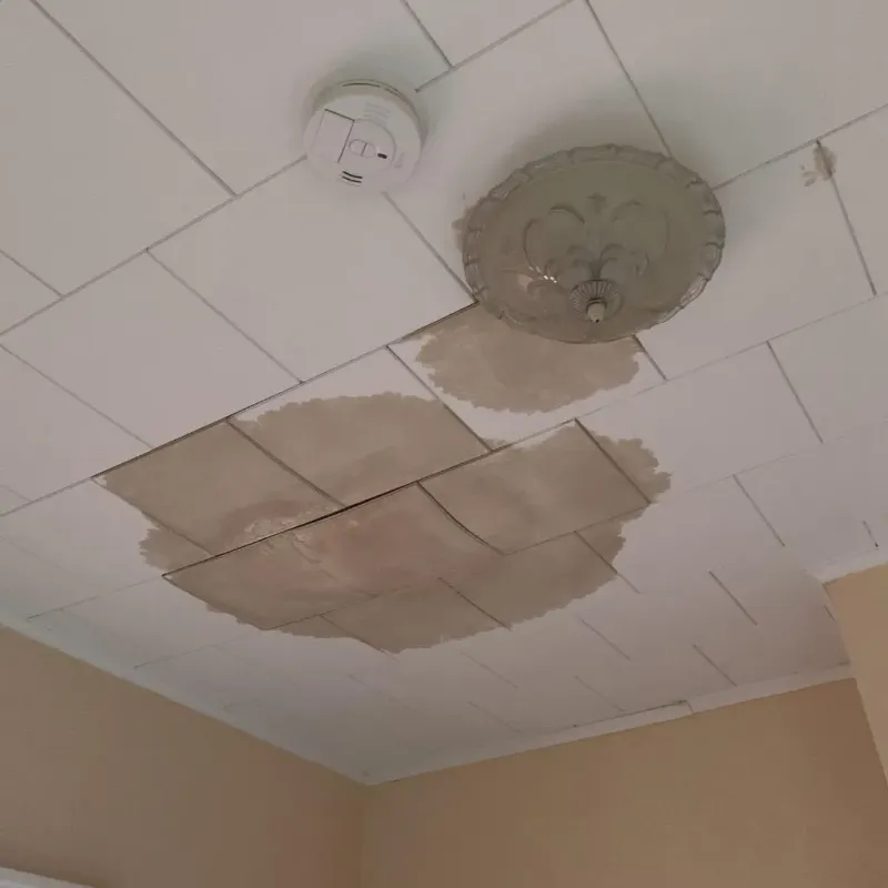 Ceiling Water Damage Repair in Milford, CT